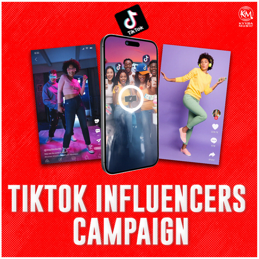 TikTok Influencer Marketing for Artists